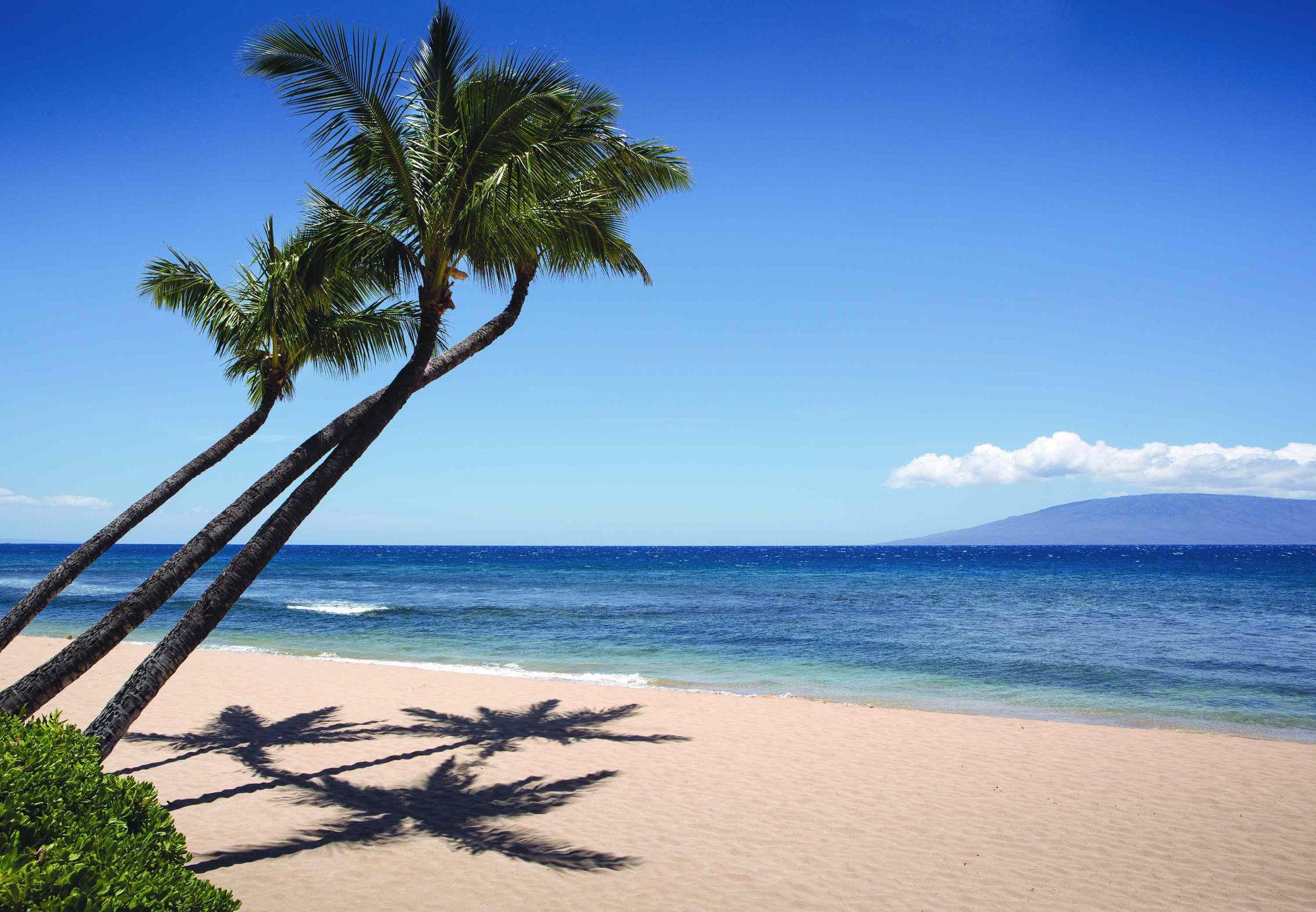 Marriott's Maui Ocean Club - Molokai, Maui&Lanai Towers Hotel Lahaina Exterior foto